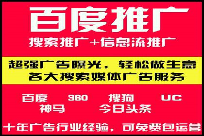 实战技巧：竞价推广案例解析与优化策略